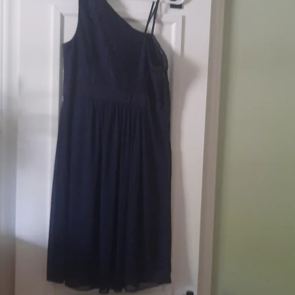 Adrianna Papell Dress - Picture 5 of 5